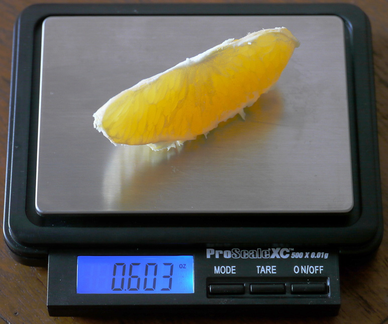 P1100902_3